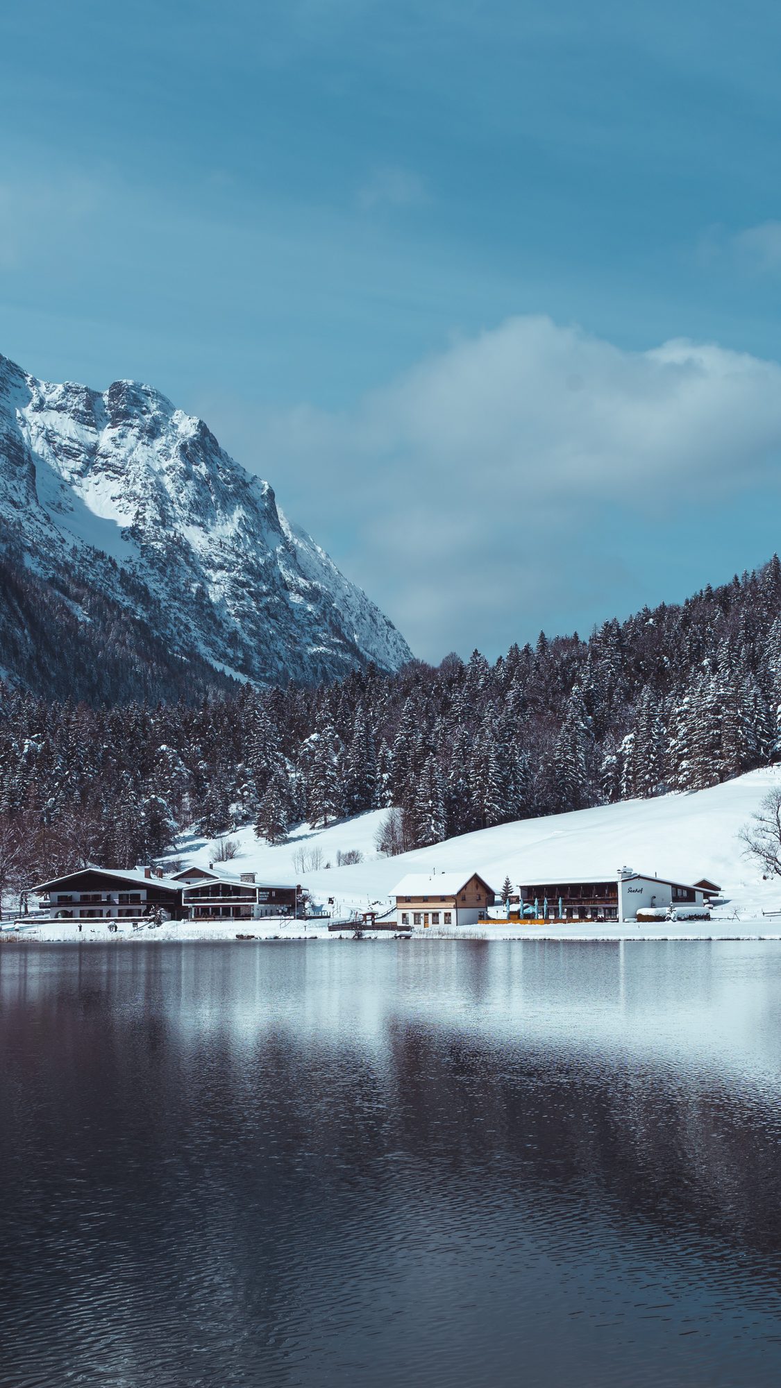 Alpine winter