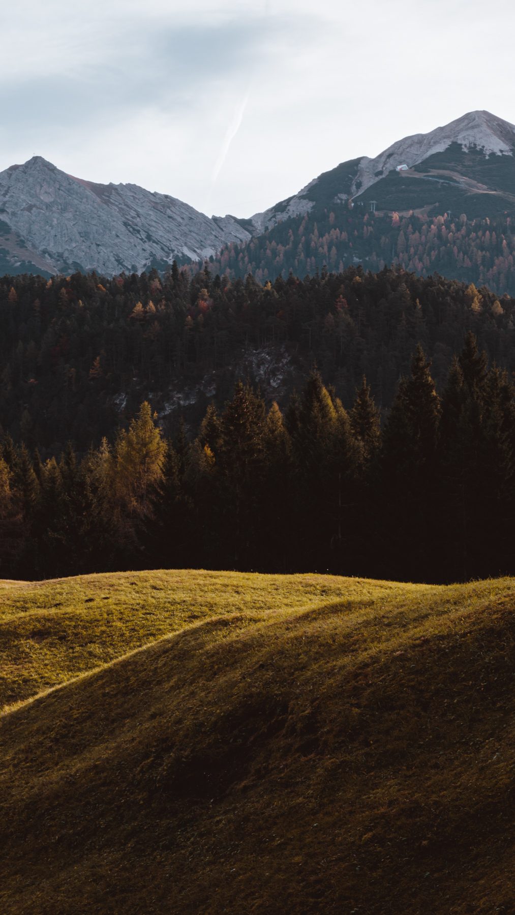 Mountain autumn