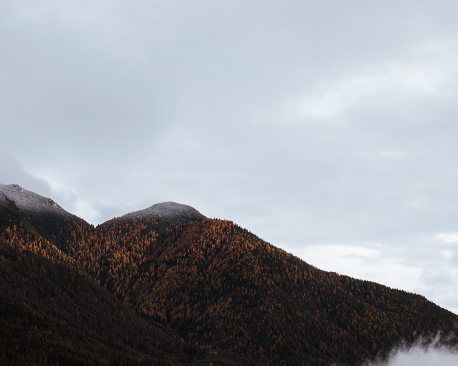 Autumn landscape
